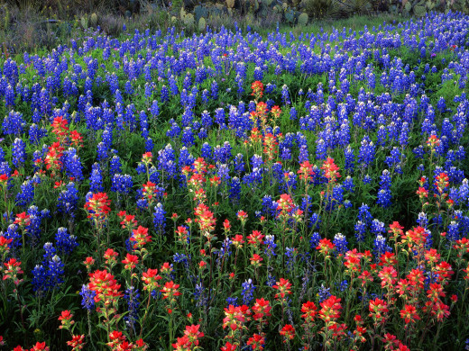 426281 (a): :1600x1200